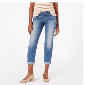 Denizen from Levi’s Modern Slim Boyfriend 5 Pocket Jeans sz 4